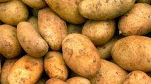 Frieslanders nieuwe oogst. 5 kilo